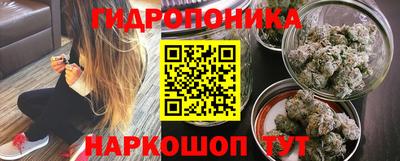 дживик Гагарин