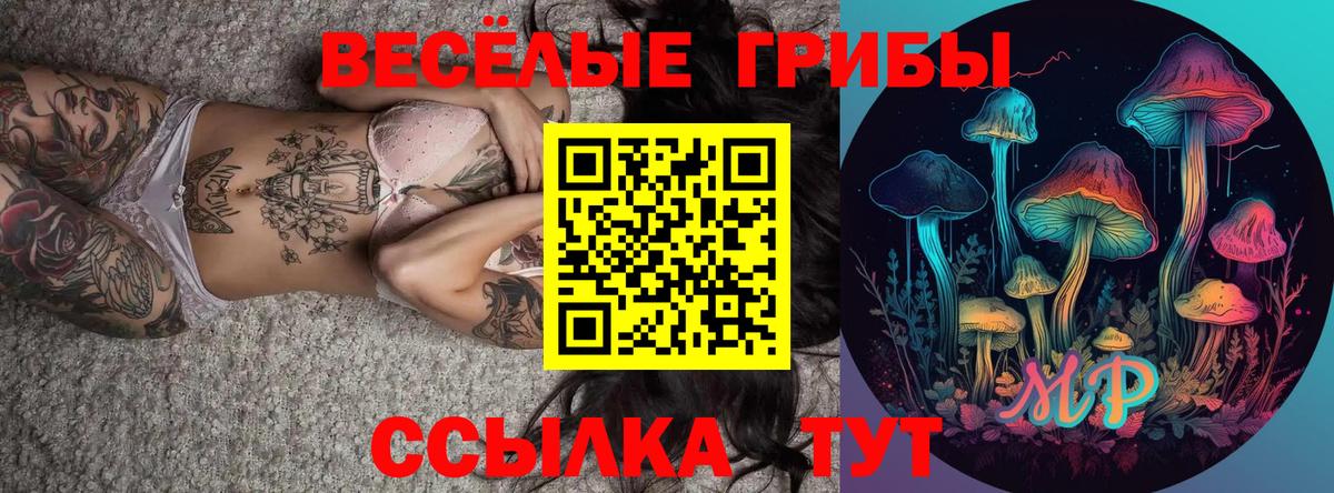 Лесосибирск  Галлюциногенные грибы мухоморы  магазин  наркотиков  Вход с VPN 