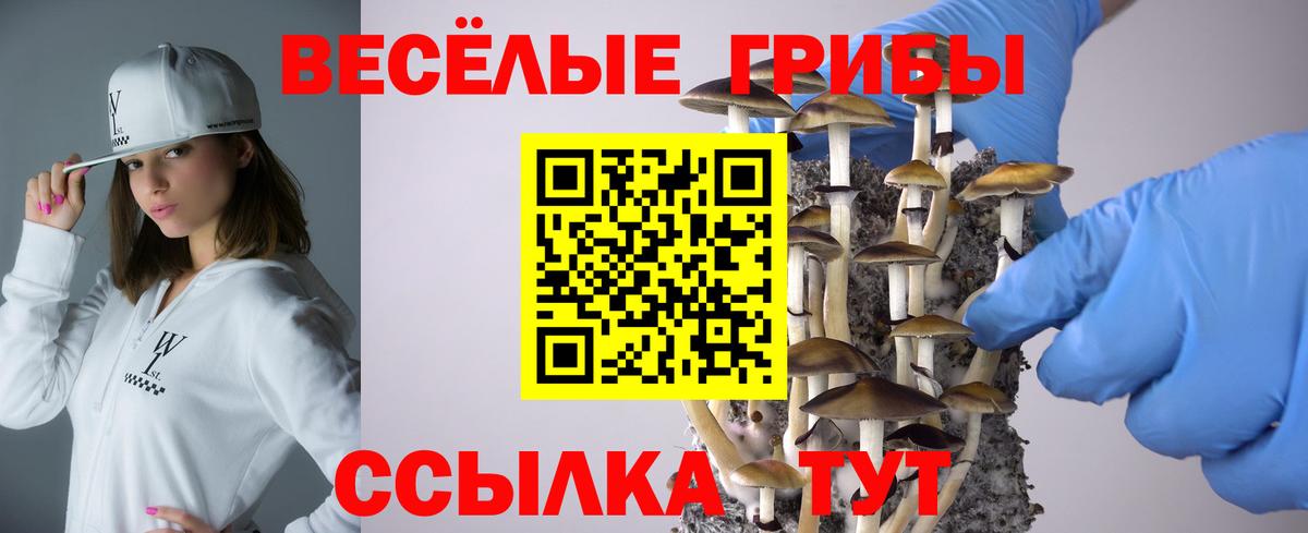 Галлюциногенные грибы мухоморы Лесосибирск